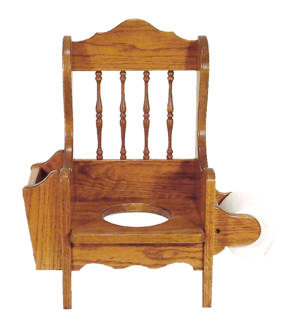 Child's Potty Chair